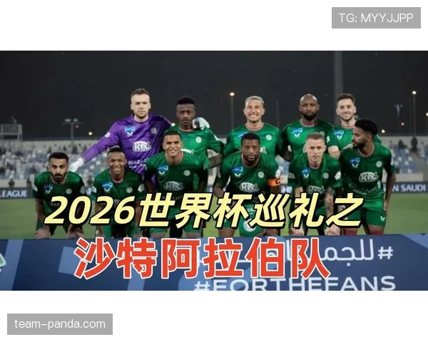世界杯H组赛程与出线关系分析